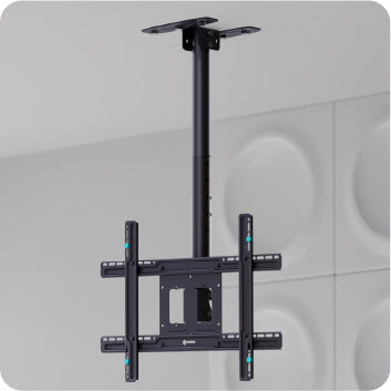 Soporte de techo y proyector